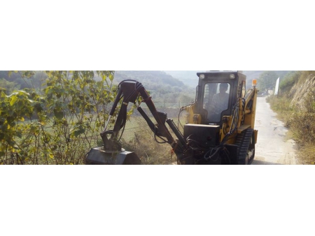 Chargeuse compacte TS100