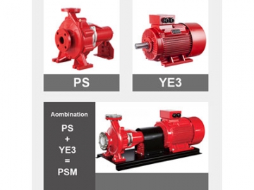 Pompe à aspiration en bout Série PSMF (arbre nu, entraînement par moteur électrique)