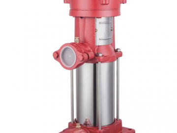 Pompe multicellulaire verticale Série PVF