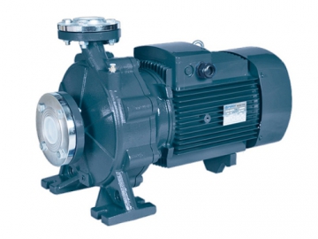 Pompe centrifuge monobloc Série PST