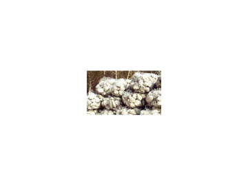Gabions sacs