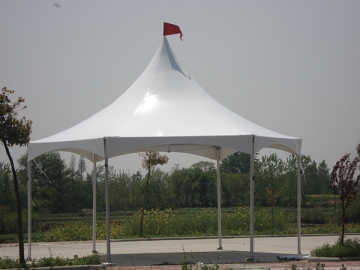 Barnum hexagonal