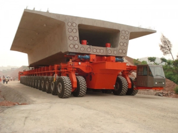 Module de transport automoteur DCY900