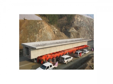 Module de transport automoteur DCY450