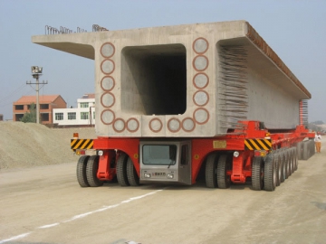 Module de transport automoteur DCY500