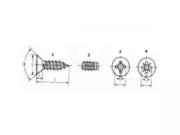 Vis autotaraudeuse de charpente