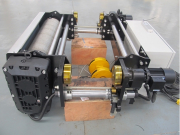 <strong>Palan électrique</strong> <small>(avec contrôle de la fréquence)</small>