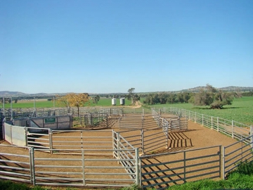 Enclos pour moutons
