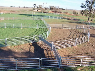 Enclos pour moutons