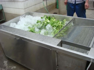 Ligne de lavage de fruits et légumes