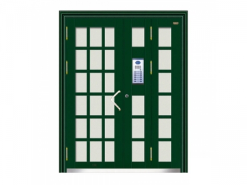 Porte d'entrée en acier