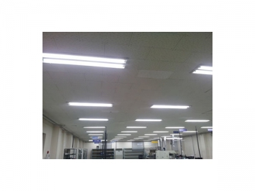 Tube LED T8 (avec conducteur isolé)
