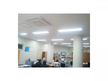 Tube LED T8 (avec conducteur non isolé)