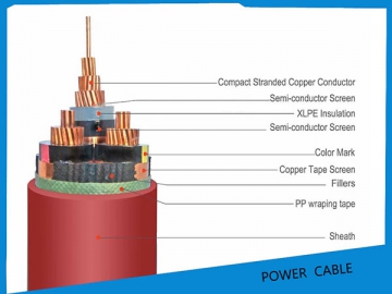 Câble d'alimentation imperméable isolé XLPE 0.6/1KV