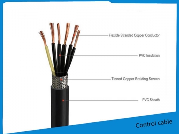 Câble de contrôle isolé PVC/XLPE 450/750V